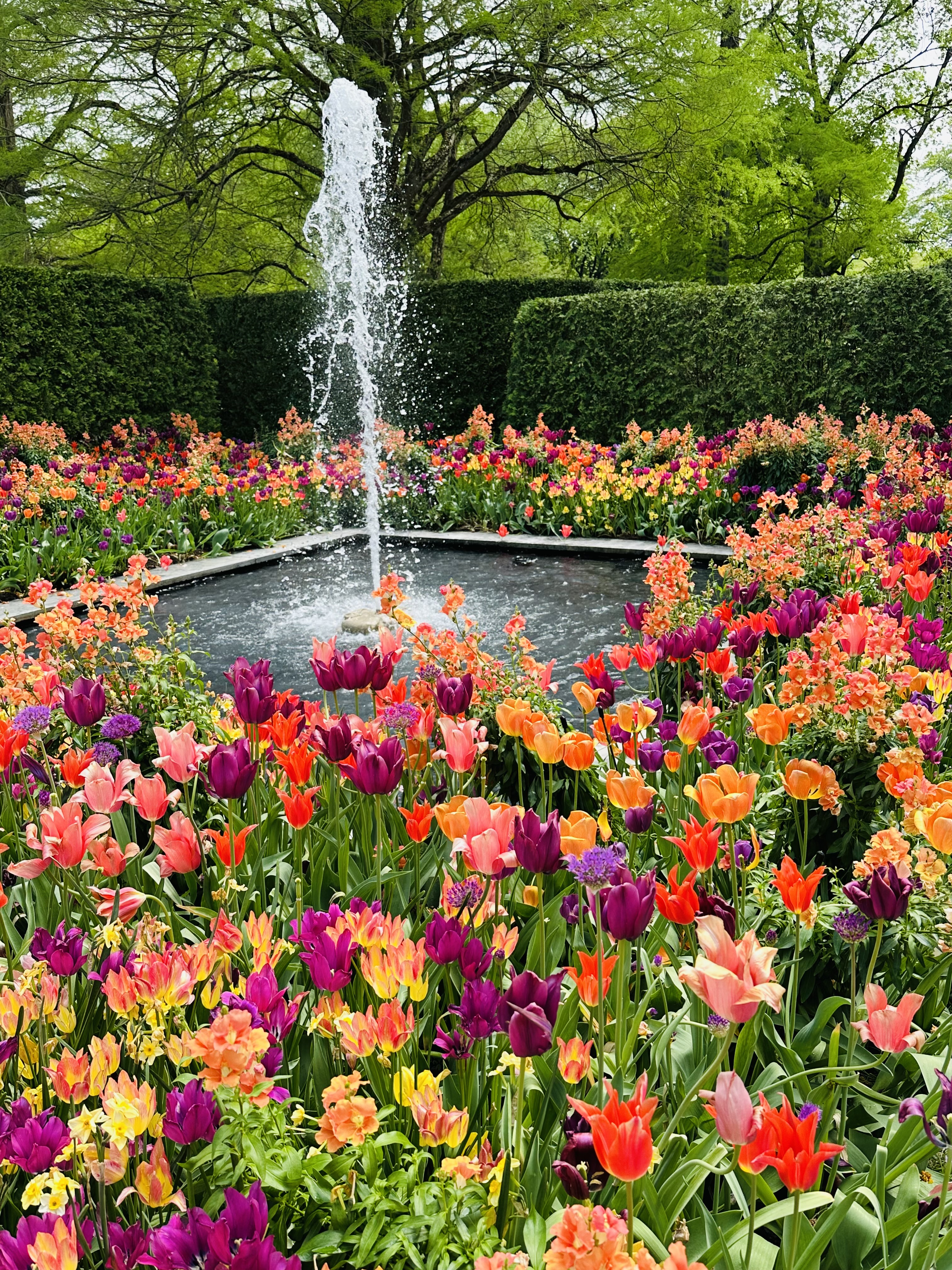 The Garden Spotlight: Longwood Gardens