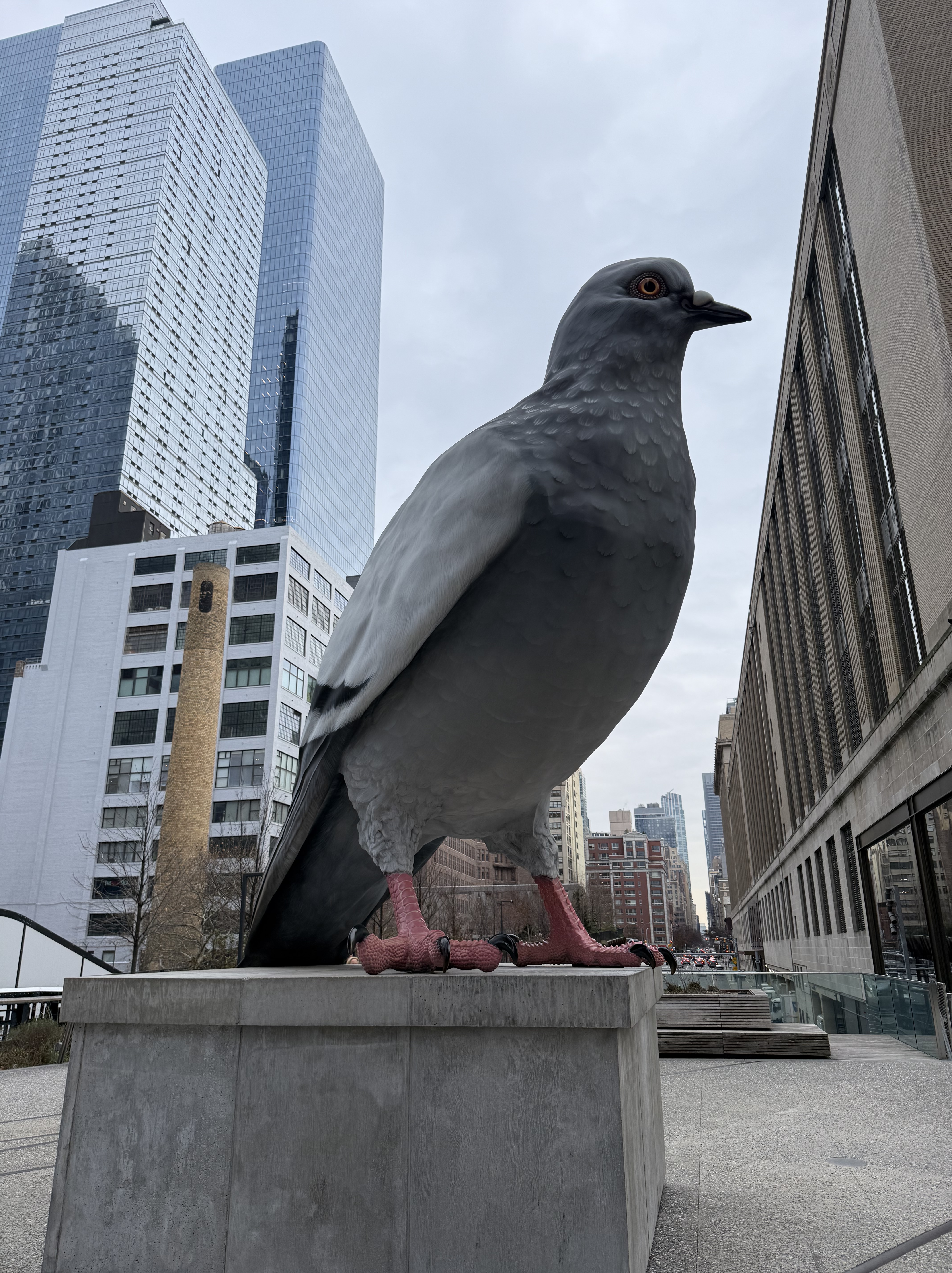 The Giant Pigeon on the High Line