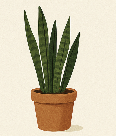 5 Low-Maintenance Houseplants to Brighten Your Home Without the Fuss